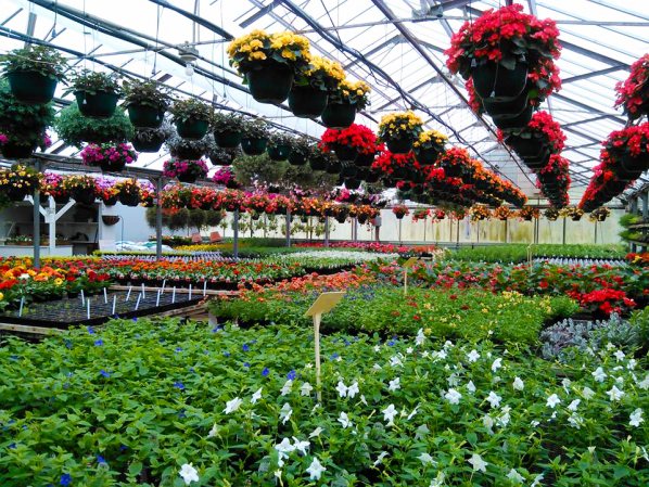 Christensen Florist Greenhouses GO Chippewa County Wisconsin