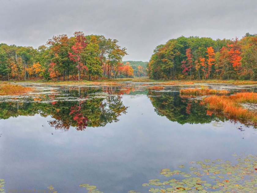 Chippewa County Forest GO Chippewa County Wisconsin