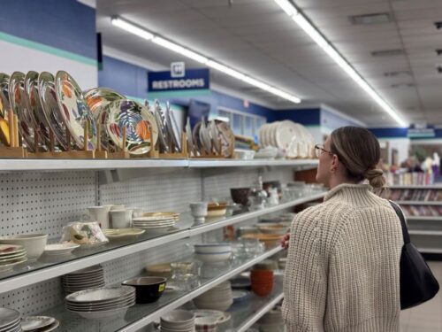 Goodwill Lake Hallie Thrifting