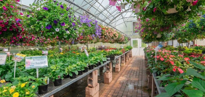 Spring in Chippewa County