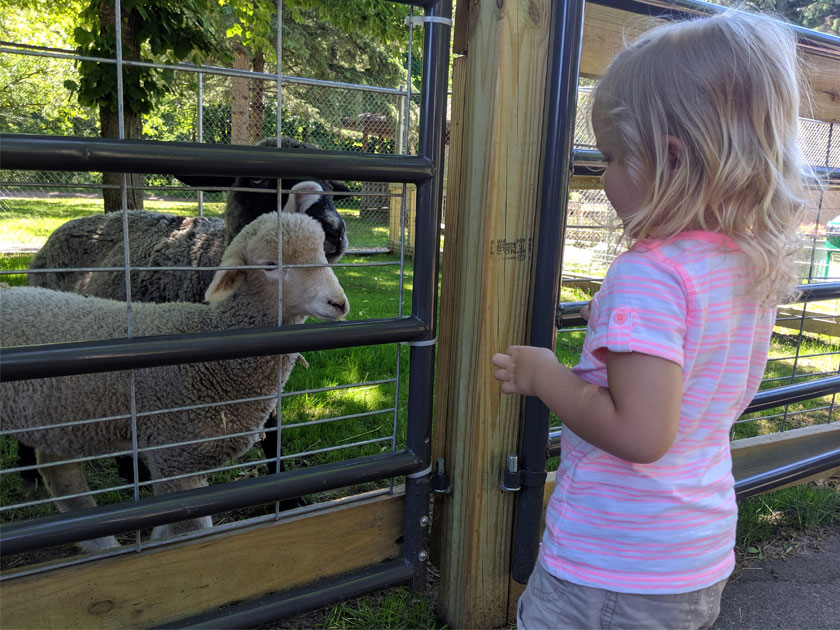 Irvine Park Zoo GO Chippewa County Wisconsin