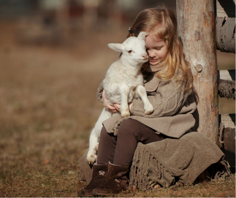 GO Chippewa County Wisconsin » Springtime Gems from the Northwoods » Blog