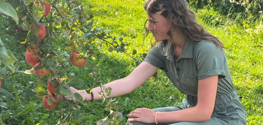 Experience Fall: Apple Orchards in Chippewa County