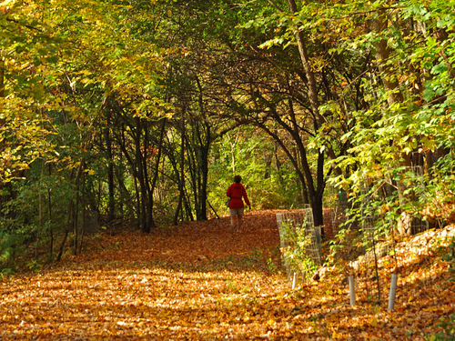 See the Fall Colors » GO Chippewa County Wisconsin