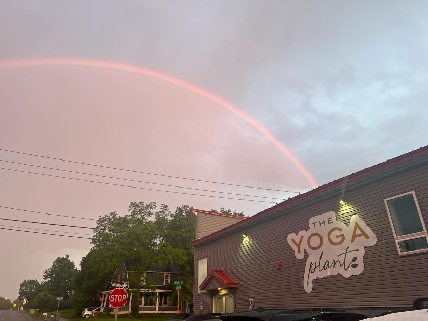 the Yoga Plant Rainbow