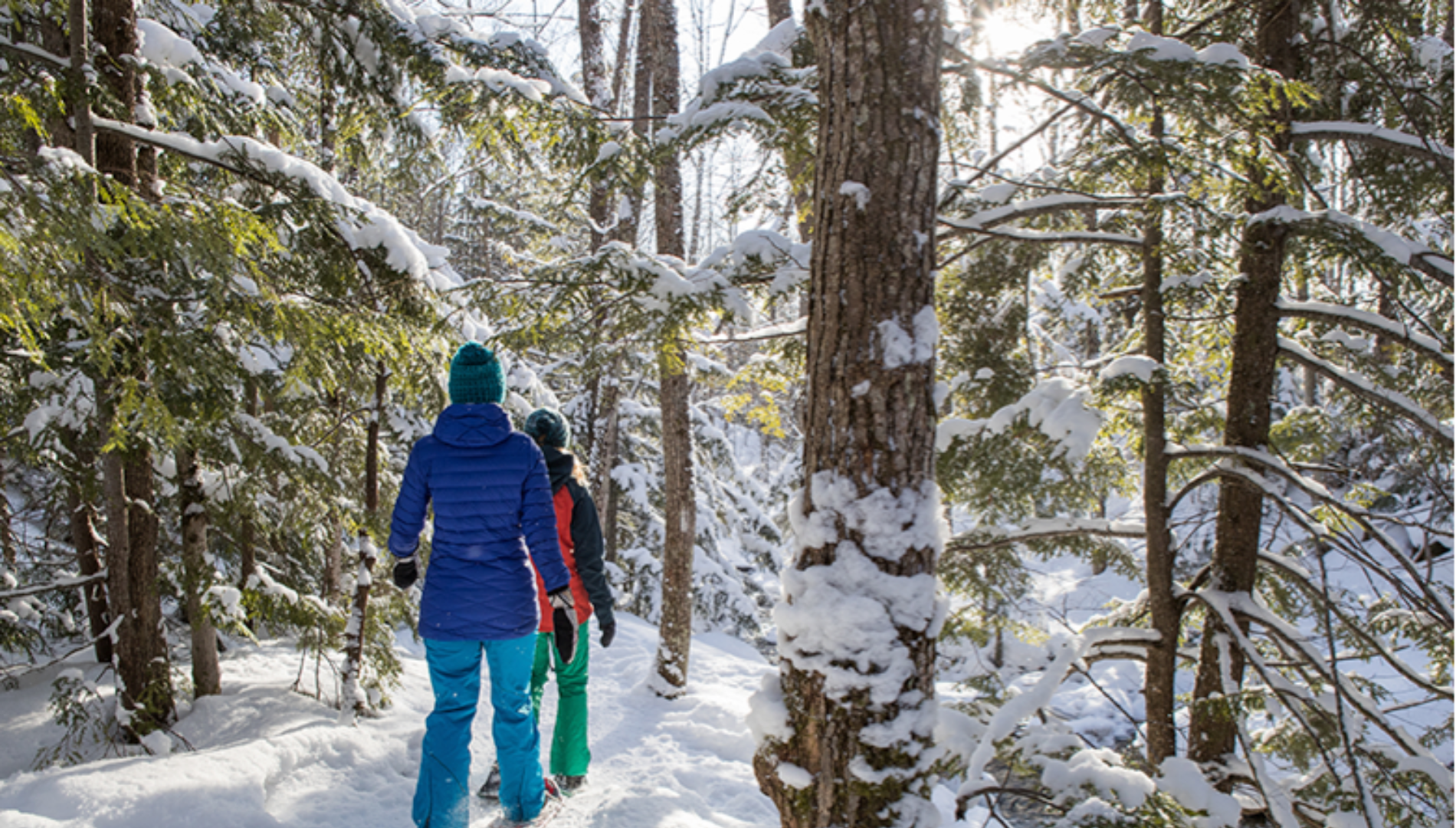 Women Snowshoeing in Chippewa County Forest