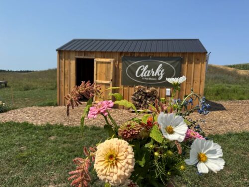 clarks flower farm bouquet