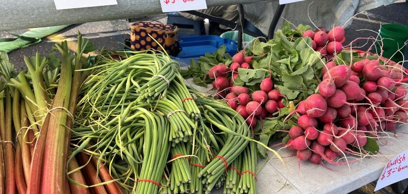 Farmers Markets Around Chippewa County