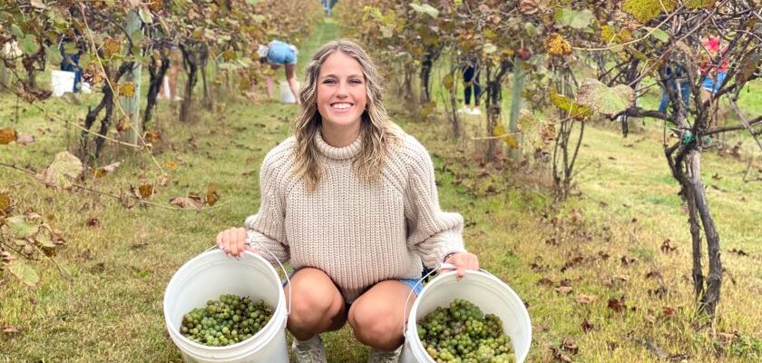 Wineries in Chippewa County