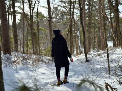 Lake Wissota State Park Winter Snow Cold Snowshoe Woods