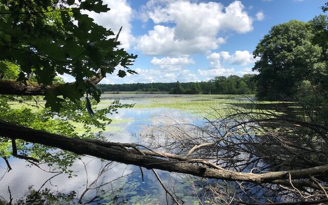 Ice Age Trail Hike on the Chippewa River Segment