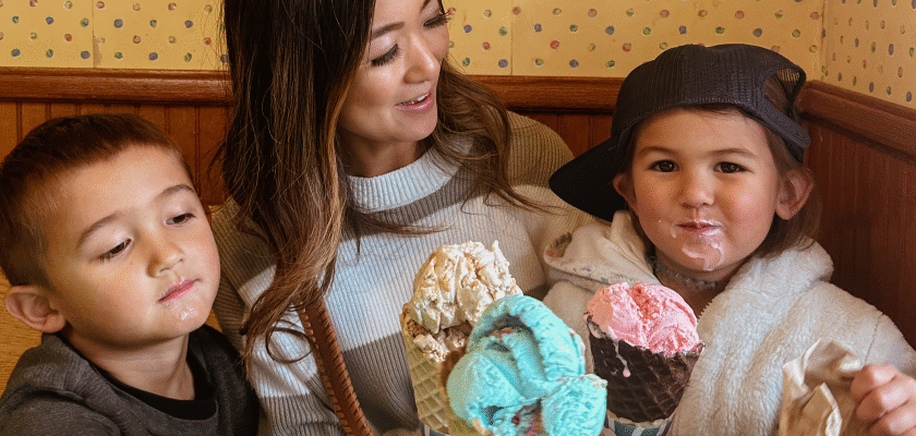 Ice Cream Shops in Chippewa County