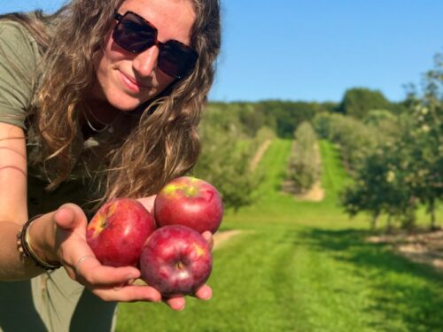 Picture overlooking Lake Wissota and fall trees