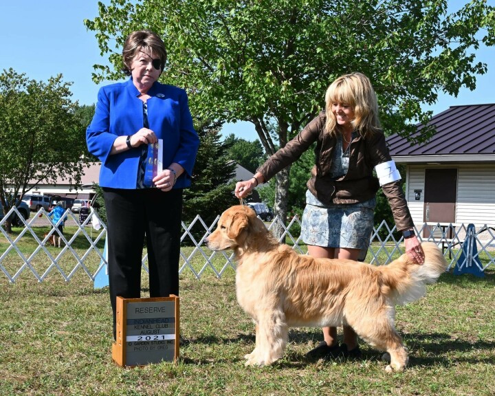 Indianhead Kennel Club AKC All Breed Dog Show » GO Chippewa County