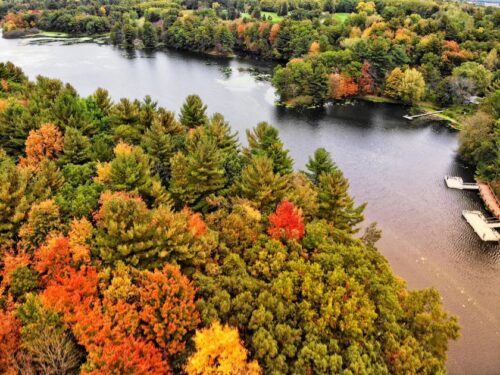 Drone shot of Irvine Park and fall leaves