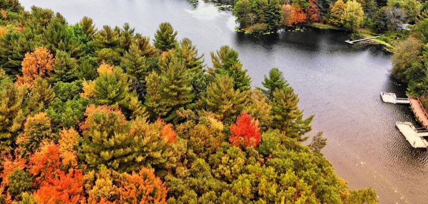 See the Fall Colors: Fall Driving Routes