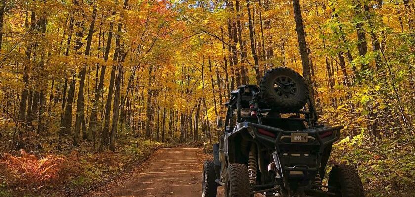 Fall in Chippewa County