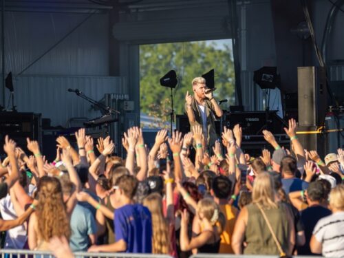 Crowd with hands in the air at concert