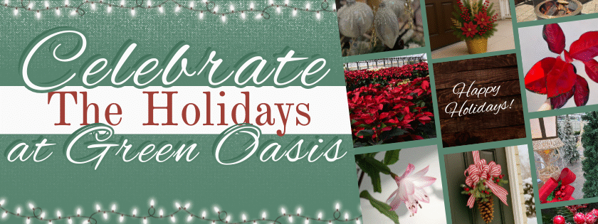 Glo-asis at Green Oasis Gardens