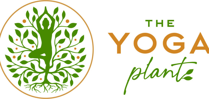 New Year Yin Yoga w/ Guided Meditation & Sankalpa Practice