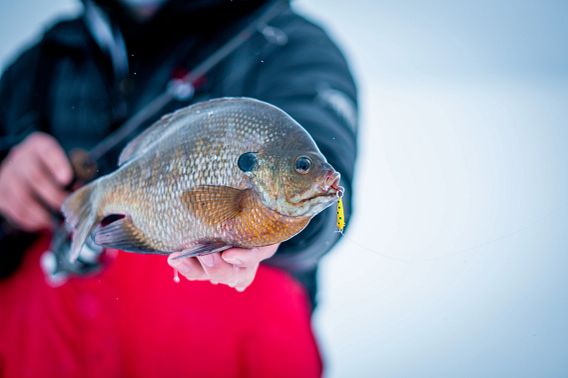Ice fishing