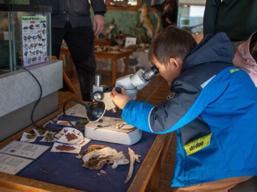 David Obey Interpretive Center New Auburn Ice Age Trail