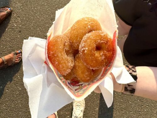 Donuts at the Northern WI State Fair