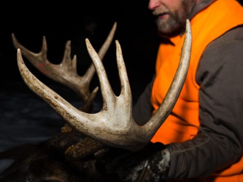 deer hunting