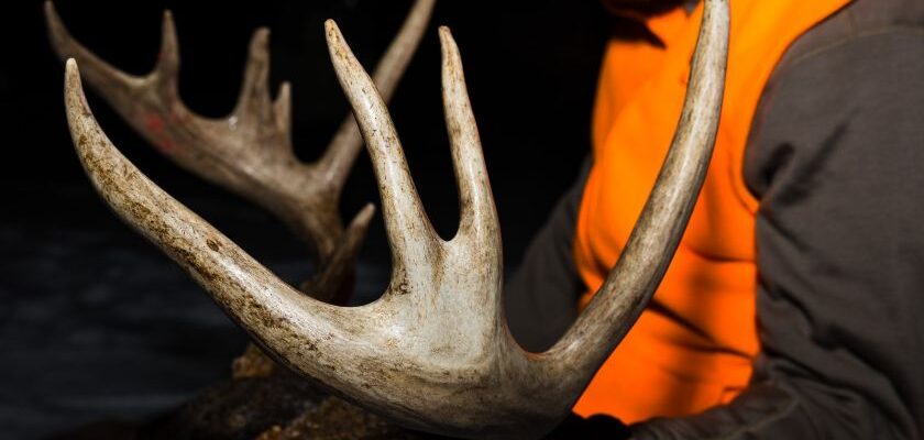 Where to Hunt in Chippewa County, WI