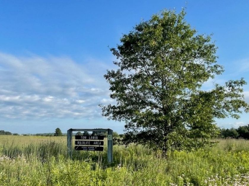 tom lawin wildlife area